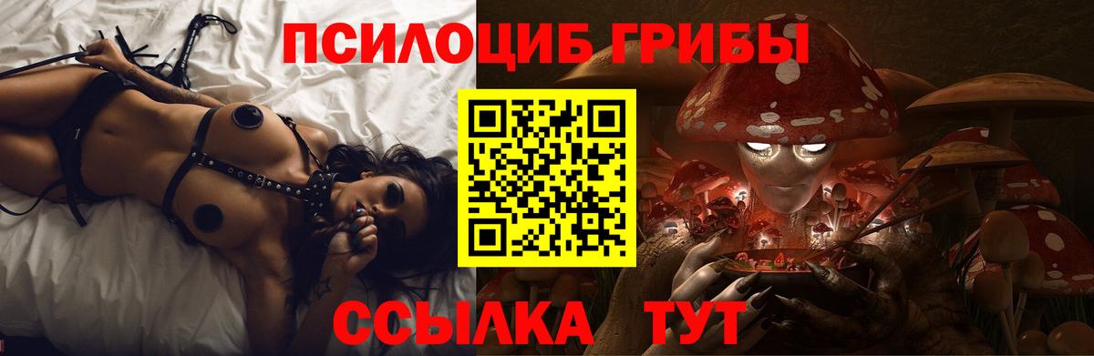Свободный  Галлюциногенные грибы прущие грибы  Вход с VPN 